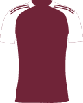 Aston Villa Club