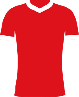 Bristol City FC
