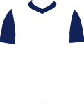 Tottenham Hotspur